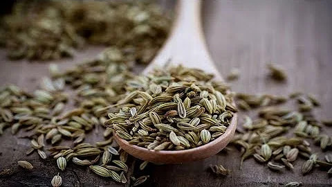 زیره درشت سبز با دانه های سالم و طعمی ویژه